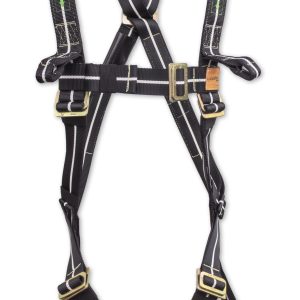 FR1